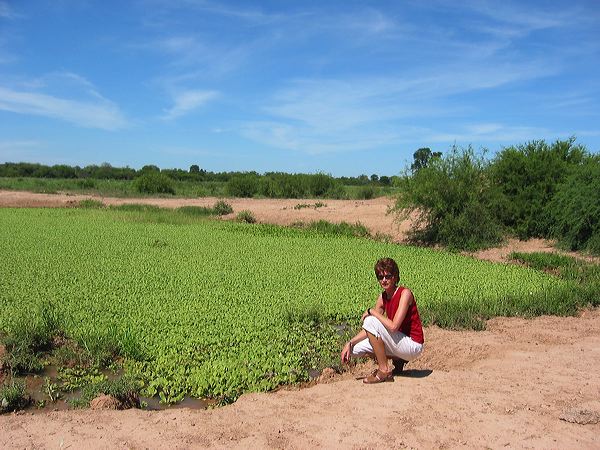 paraguay2005-45.jpg