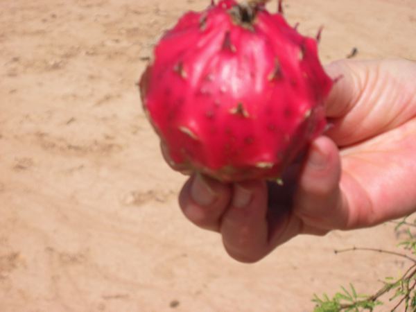 paraguay2005-46.jpg