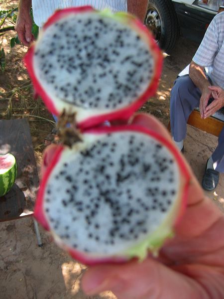 paraguay2005-47.jpg