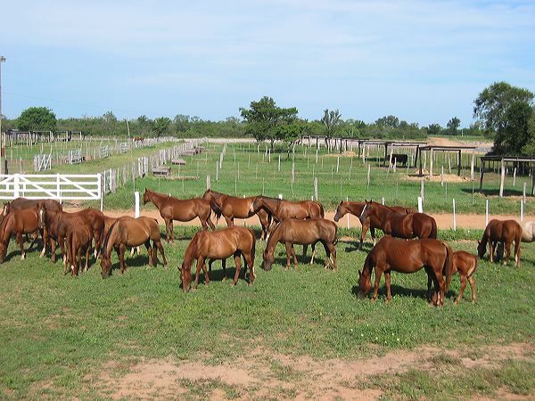 paraguay2005-58.jpg