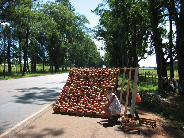 paraguay2005-94.jpg