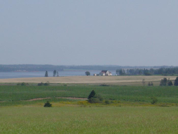 DSC00326