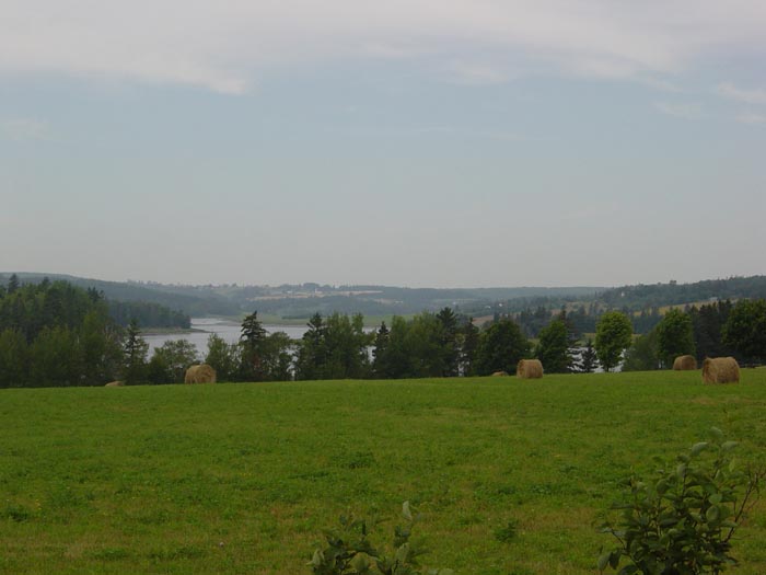 DSC00329