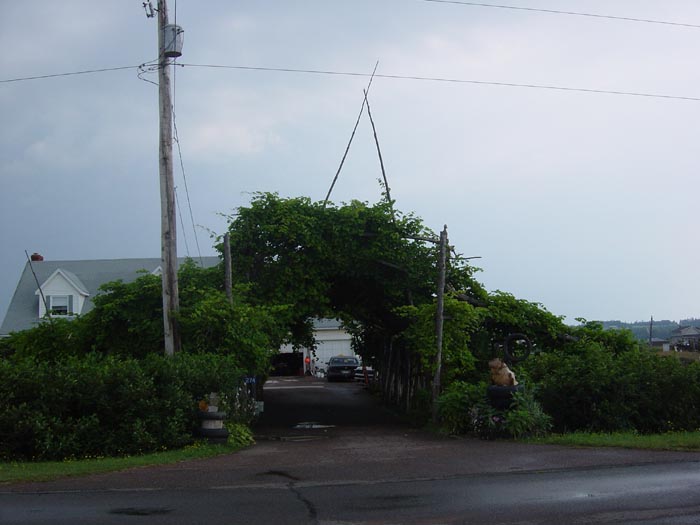 DSC00335