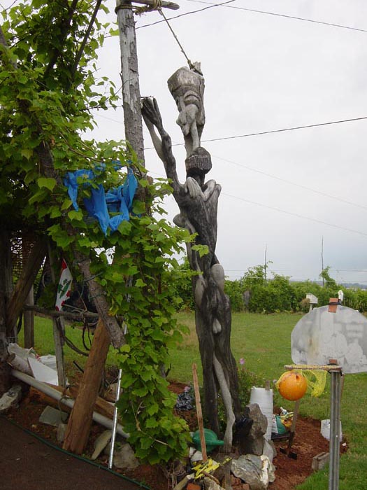 DSC00340