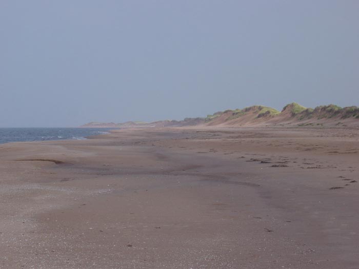 DSC00353