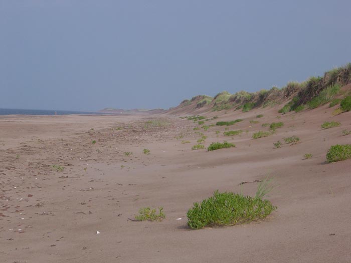 DSC00354