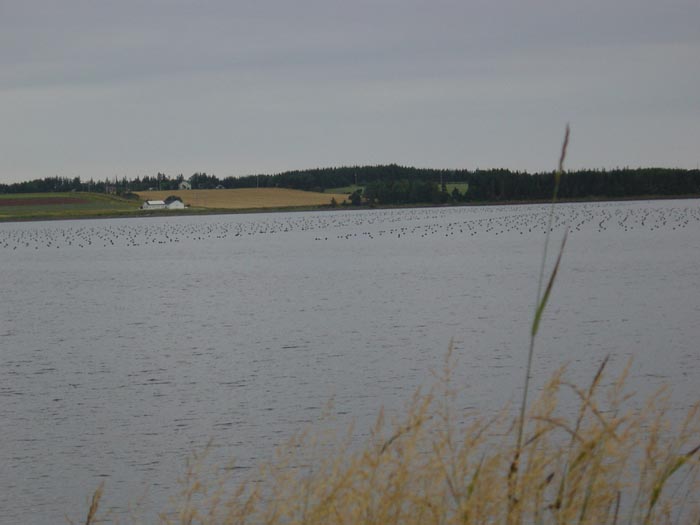 DSC00363