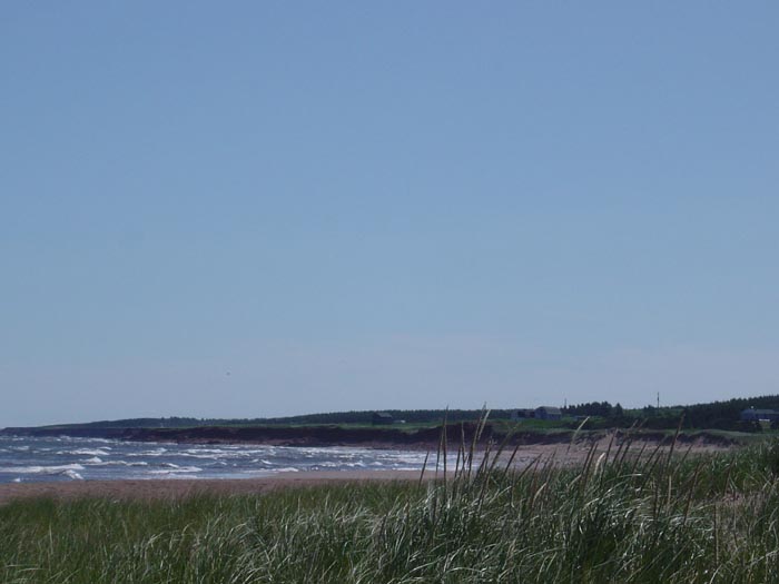 DSC00371