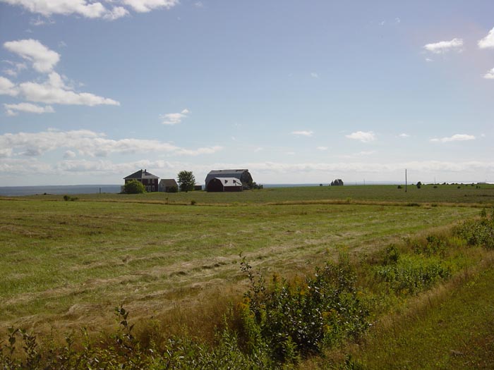 DSC00391