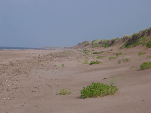cyclingpei021