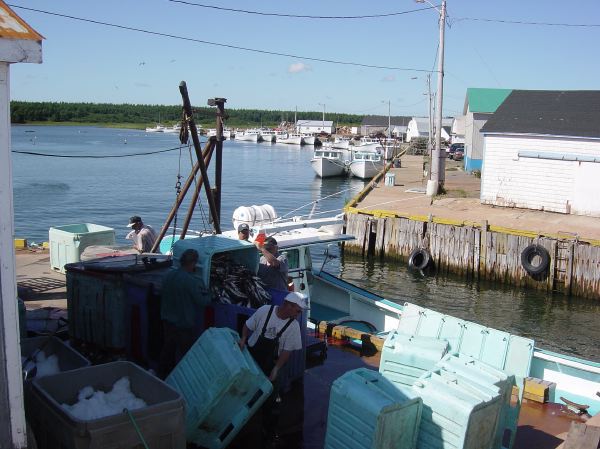cyclingpei049