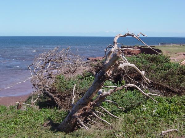 cyclingpei062