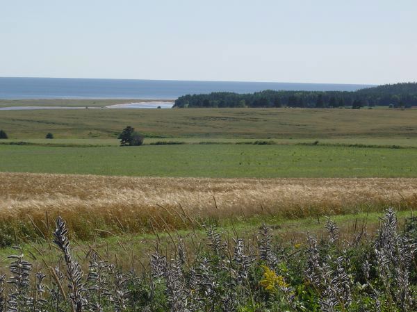 cyclingpei063