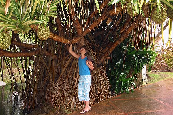 puntacana50.jpg