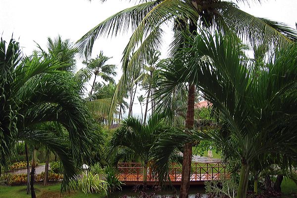 puntacana54.jpg