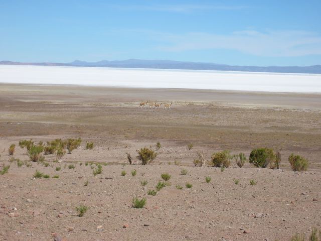 bolivia045