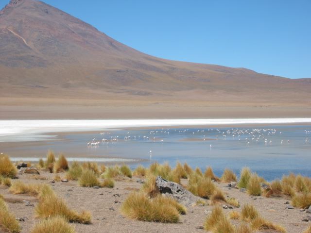 bolivia055