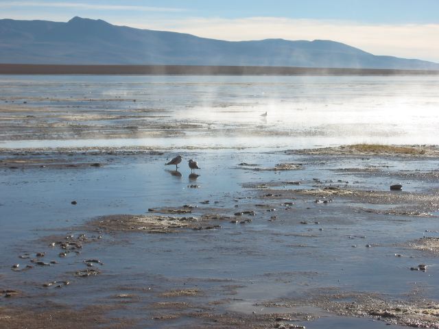 bolivia070