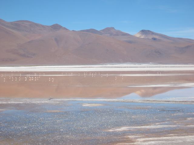 bolivia082