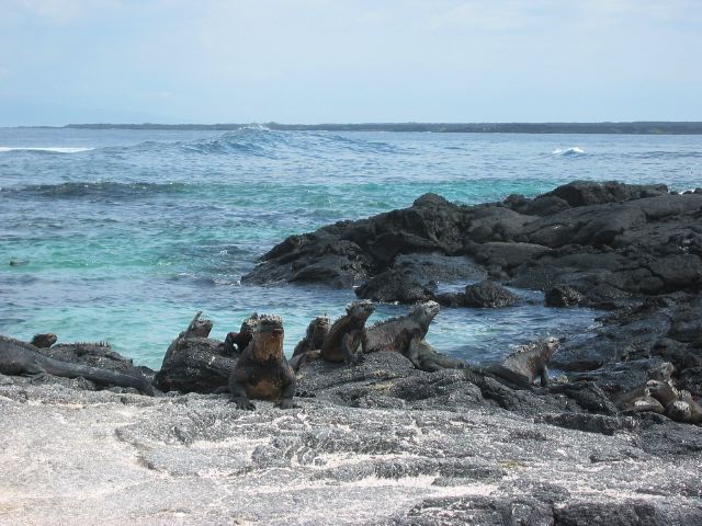 galapagos23