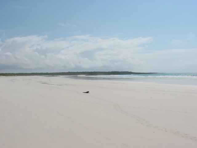 galapagos66