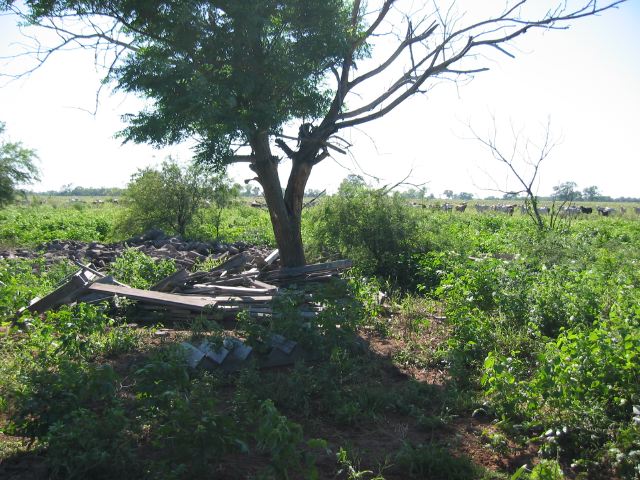 paraguay24