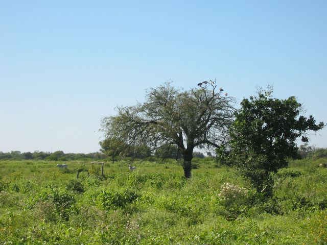 paraguay27