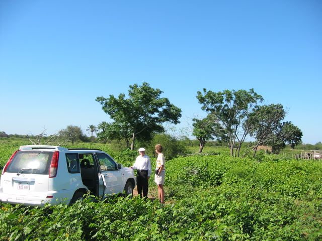 paraguay28