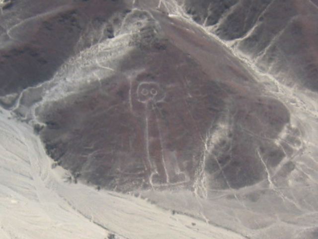 nazca5a