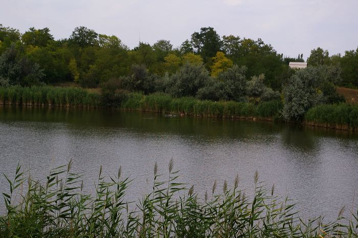 zaporizhia_047.jpg
