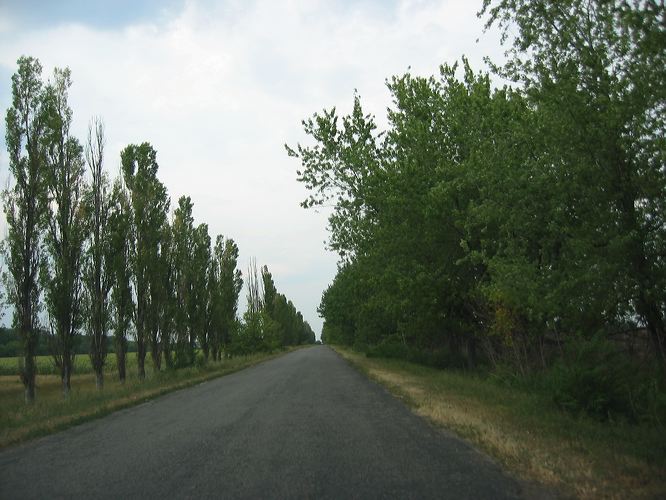 zaporizhia_055.jpg
