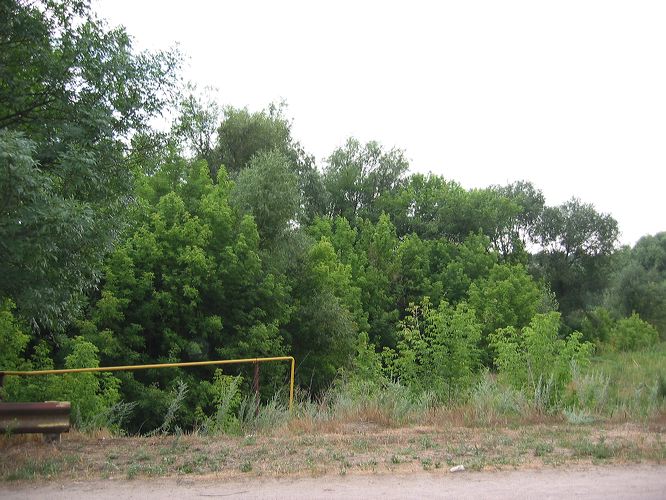 zaporizhia_079.jpg