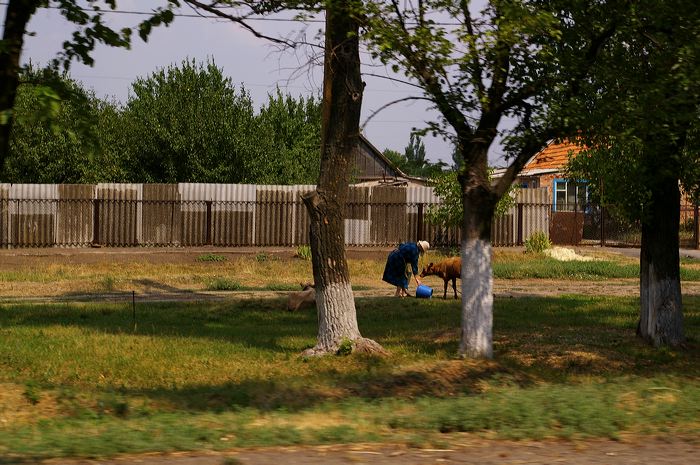 zaporizhia_150.jpg