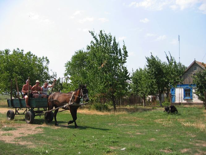 zaporizhia_171.jpg