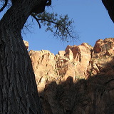 zion_national_park_28.jpg