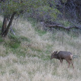 zion_national_park_37.jpg