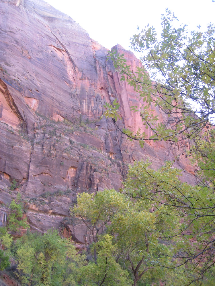 zion_national_park_21.jpg