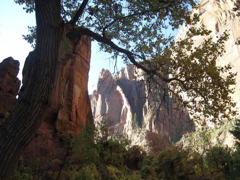 zion_national_park_24.jpg