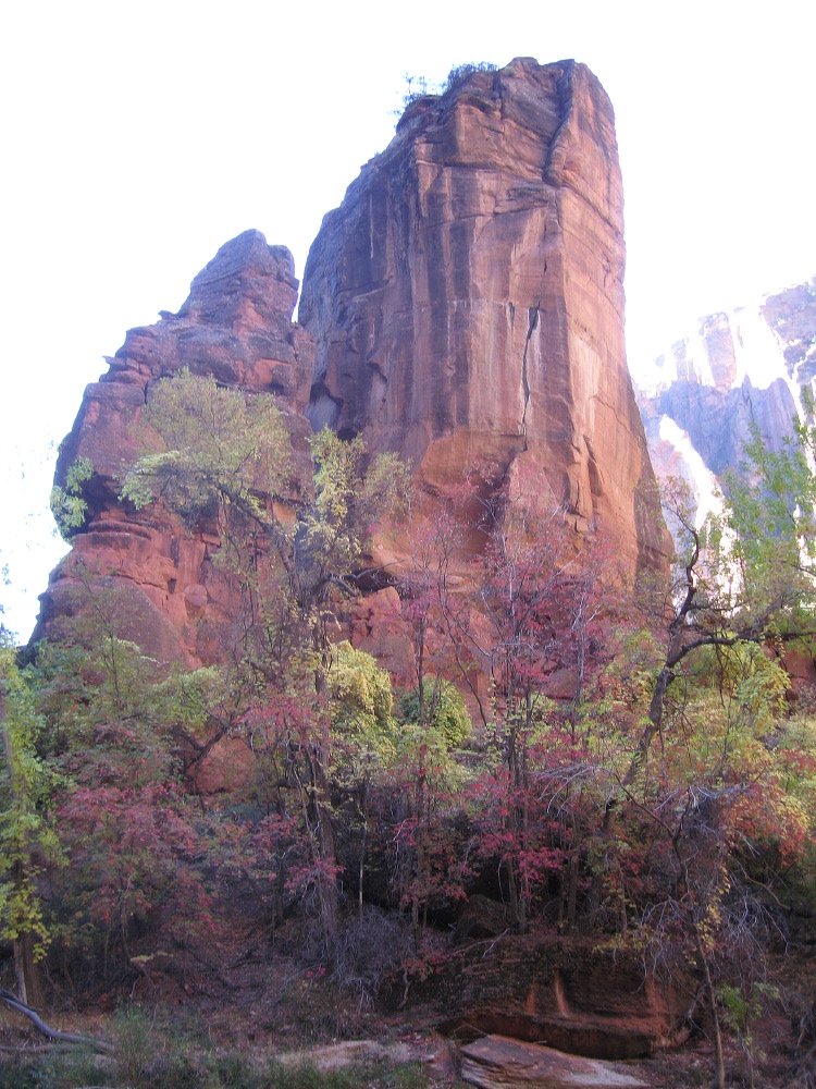 zion_national_park_27.jpg