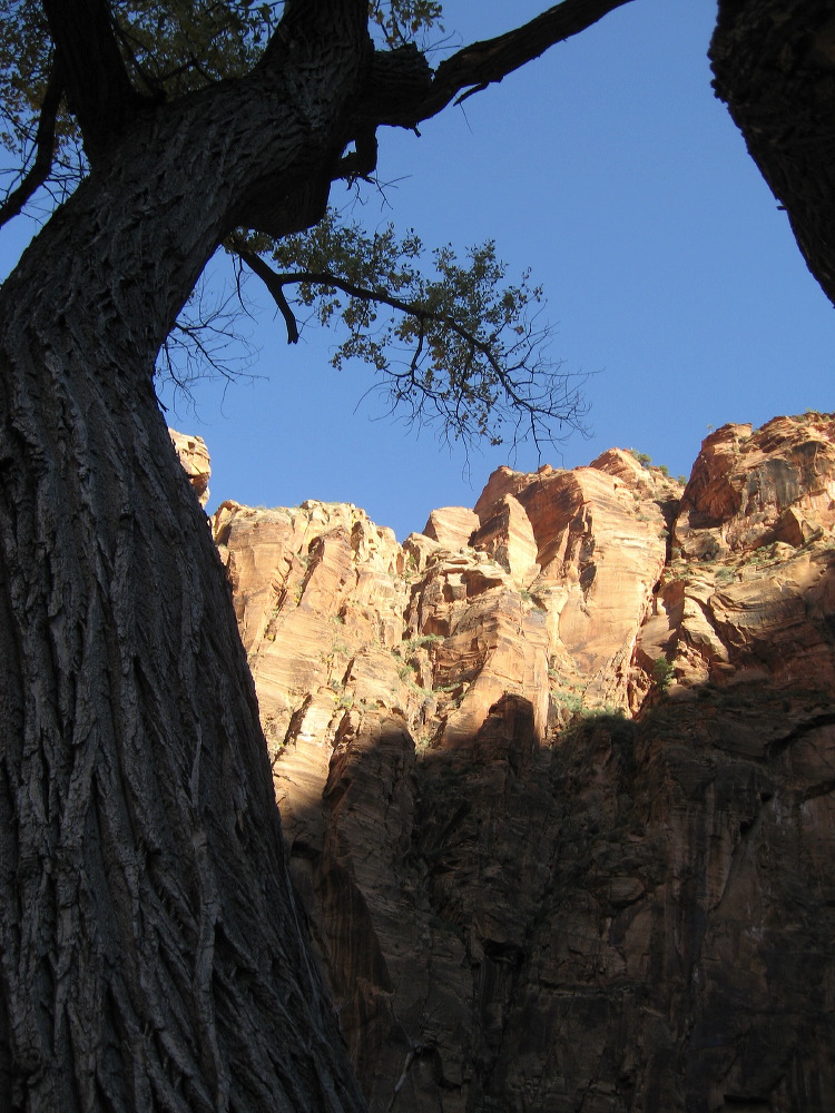 zion_national_park_28.jpg