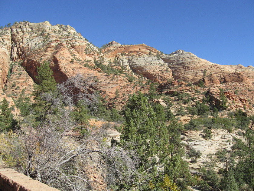 zion_national_park_55.jpg