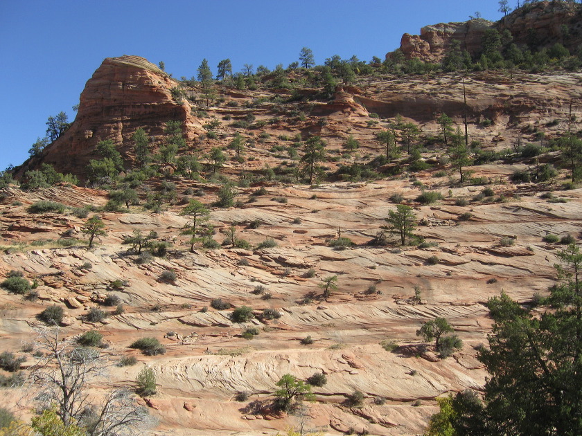 zion_national_park_56.jpg