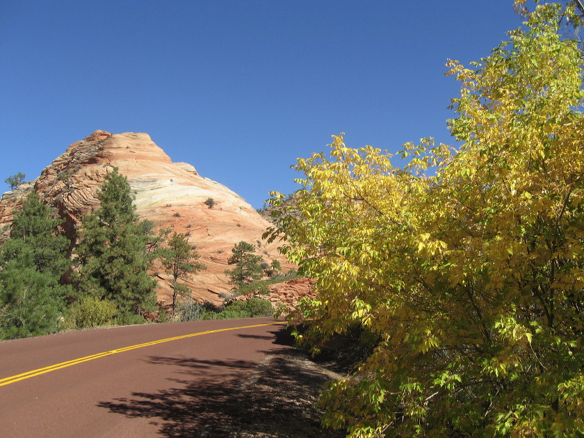 zion_national_park_59.jpg