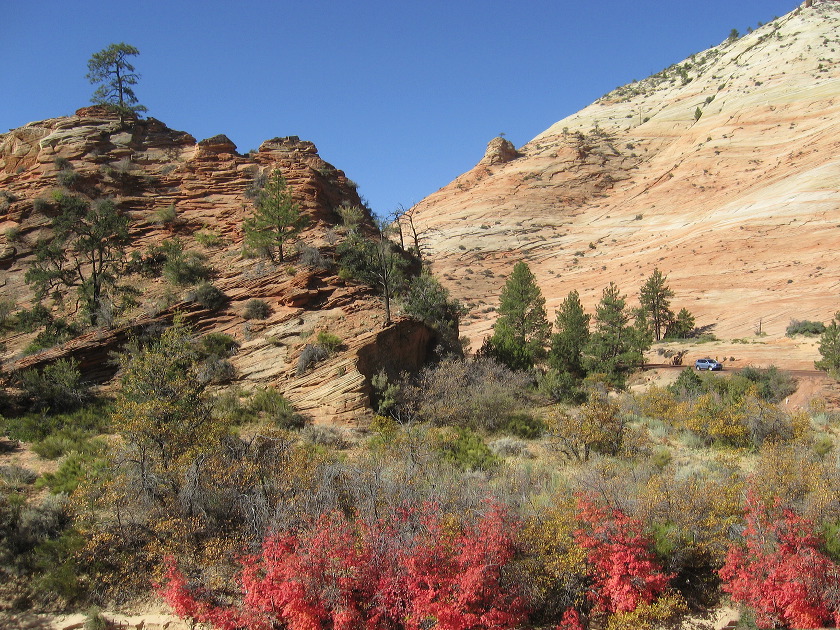 zion_national_park_65.jpg