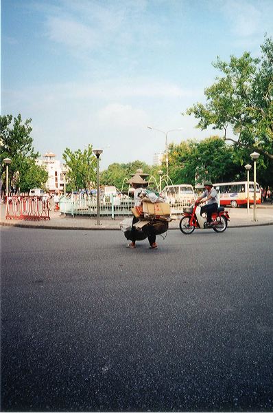 vietnam0026.jpg