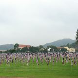 Flags