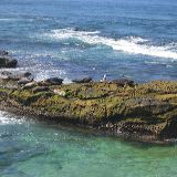 IMG_7553.JPG