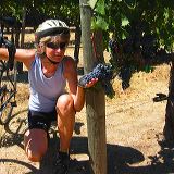 napa_cycling_04.JPG