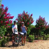 napa_cycling_05.JPG